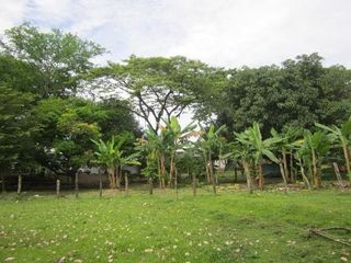 Foto 9 de TERRENO RURAL - 25000 M2 - UBIC.: VILLAVICENCIO