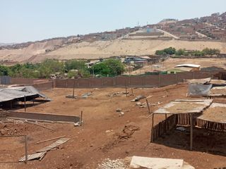 Foto 2 de Terreno industrial 3,790 m2 con titulo de propiedad en Puente Piedra zapallal