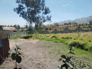Foto 2 de TERRENO DE 7290M2 CON CASA EN PINTAG