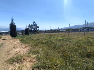 Foto 4 de TERRENO DE 7290M2 CON CASA EN PINTAG