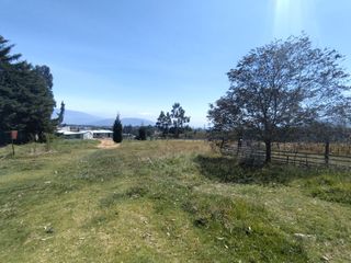 Foto 5 de TERRENO DE 7290M2 CON CASA EN PINTAG