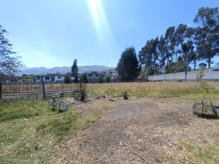 Foto 6 de TERRENO DE 7290M2 CON CASA EN PINTAG