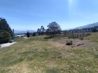 Foto 7 de TERRENO DE 7290M2 CON CASA EN PINTAG