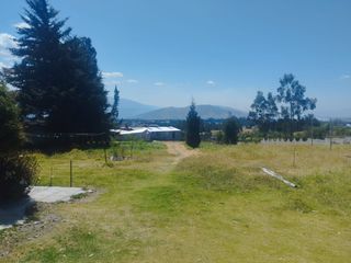 Foto 14 de TERRENO DE 7290M2 CON CASA EN PINTAG