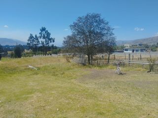 Foto 15 de TERRENO DE 7290M2 CON CASA EN PINTAG