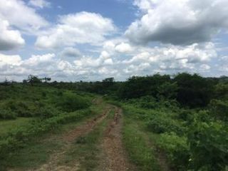 Foto 2 de Daular, vía a la Costa km. 27. clinda con el area del futuro Nuevo Aeropuerto