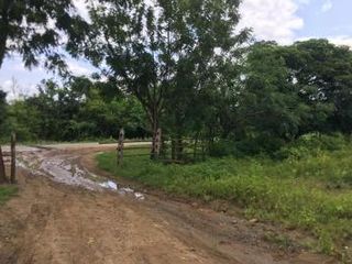 Foto 5 de Daular, vía a la Costa km. 27. clinda con el area del futuro Nuevo Aeropuerto