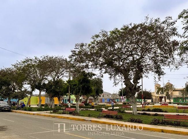 place photo 24