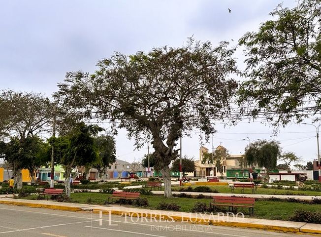 place photo 27