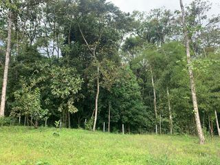 Foto 7 de Venta terreno Mindo 2 HC  a pocos metros del parque de Mindo