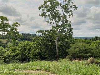 Foto 7 de Venta de finca en Planeta Rica Vereda La Carolina