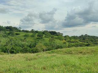 Foto 1 de Venta de finca en Planeta Rica Vereda La Carolina