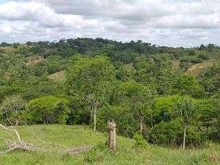 Foto 6 de Venta de finca en Planeta Rica Vereda La Carolina