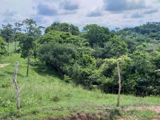 Foto 10 de Venta de finca en Planeta Rica Vereda La Carolina
