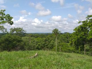 Foto 11 de Venta de finca en Planeta Rica Vereda La Carolina