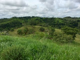 Foto 13 de Venta de finca en Planeta Rica Vereda La Carolina
