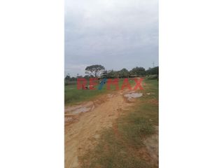 Foto 5 de ¡¡¡Ocasion!!! ¡¡¡Inversionistas!!! Vendo 37 Hectareas Con 0.800M2 Ubicado En El Kilometro 34.5 Carretera Iquitos Nauta Sector Caserío El Paujil