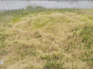 Foto 5 de DE VENTA TERRENO PARA INVERSION EN SAN FERNANDO
