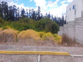 Vendo 620m2 de terreno plano en la Urbanización Prados del Río