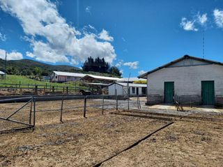 Foto 29 de HACIENDA GANADERA DE VENTA MACHACHI