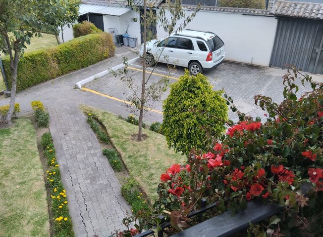 place photo 20