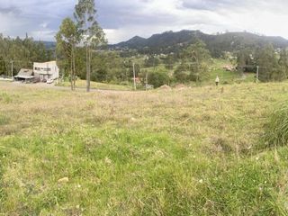 Foto 4 de Terreno en arriendo 6.000m2 con frente a la vía Monay, a 4km. del IESS