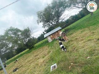 Foto 1 de SOLÍS VENDE TERRENO EN SIERRA VERDE, LOS BAÑOS DEL INCA