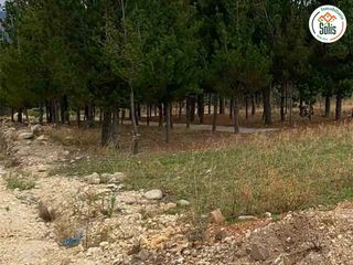 Foto 5 de SOLÍS REMATA TERRENO EN RESIDENCIAL SAPITOS PARK