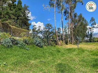 Foto 8 de SOLÍS VENDE TERRENO EN ZONA CAMPESTRE
