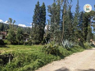 Foto 4 de SOLÍS VENDE TERRENO EN ZONA CAMPESTRE