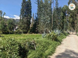 Foto 11 de SOLÍS VENDE TERRENO EN ZONA CAMPESTRE