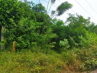 Foto 1 de FINCA LA MILAGROSA  - 2136 M2 - SANTA MARTA, MAGDALENA
