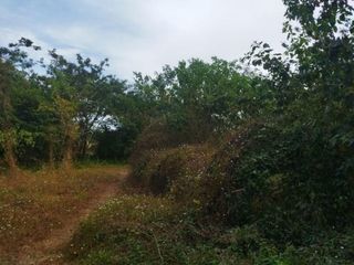 Foto 2 de FINCA LA MILAGROSA  - 2136 M2 - SANTA MARTA, MAGDALENA
