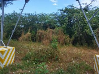 Foto 3 de FINCA LA MILAGROSA  - 2136 M2 - SANTA MARTA, MAGDALENA