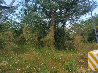 Foto 4 de FINCA LA MILAGROSA  - 2136 M2 - SANTA MARTA, MAGDALENA