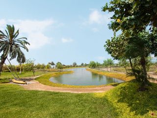 Foto 10 de Venta de terreno en Condominio Alameda Del Carmen, Chincha