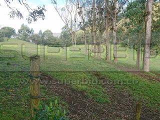 Foto 5 de TERRENO RURAL PARCELA 4 CONDOMINIO BARRO BLANCO DE 30000 M2 UBIC: SANTA LIBRADA-BOJACÁ - BARROBLANCO