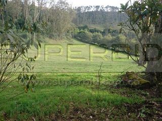 Foto 4 de TERRENO RURAL PARCELA 4 CONDOMINIO BARRO BLANCO DE 30000 M2 UBIC: SANTA LIBRADA-BOJACÁ - BARROBLANCO
