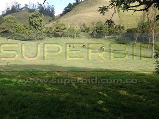 Foto 6 de TERRENO RURAL PARCELA 4 CONDOMINIO BARRO BLANCO DE 30000 M2 UBIC: SANTA LIBRADA-BOJACÁ - BARROBLANCO