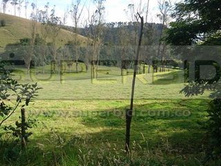 Foto 8 de TERRENO RURAL PARCELA 4 CONDOMINIO BARRO BLANCO DE 30000 M2 UBIC: SANTA LIBRADA-BOJACÁ - BARROBLANCO