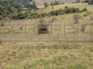 Foto 2 de TERRENO RURAL PARCELA 11 CONDOMINIO BARRO BLANCO DE 30484,64 M2 UBIC.: SANTA LIBRADA-BOJACÁ - BARROBLANCO