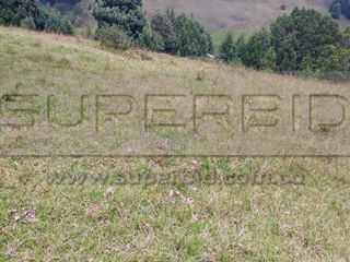 Foto 3 de TERRENO RURAL PARCELA 11 CONDOMINIO BARRO BLANCO DE 30484,64 M2 UBIC.: SANTA LIBRADA-BOJACÁ - BARROBLANCO