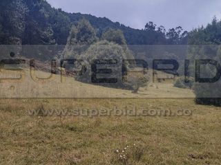 Foto 5 de TERRENO RURAL PARCELA 11 CONDOMINIO BARRO BLANCO DE 30484,64 M2 UBIC.: SANTA LIBRADA-BOJACÁ - BARROBLANCO