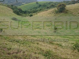 Foto 5 de TERRENO RURAL PARCELA 12 CONDOMINIO BARRO BLANCO DE 30016,41 M2 UBIC.: SANTA LIBRADA-BOJACÁ - BARROBLANCO