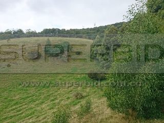 Foto 6 de TERRENO RURAL PARCELA 12 CONDOMINIO BARRO BLANCO DE 30016,41 M2 UBIC.: SANTA LIBRADA-BOJACÁ - BARROBLANCO
