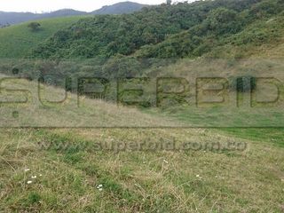 Foto 2 de TERRENO RURAL PARCELA 12 CONDOMINIO BARRO BLANCO DE 30016,41 M2 UBIC.: SANTA LIBRADA-BOJACÁ - BARROBLANCO