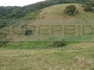 Foto 3 de TERRENO RURAL PARCELA 12 CONDOMINIO BARRO BLANCO DE 30016,41 M2 UBIC.: SANTA LIBRADA-BOJACÁ - BARROBLANCO
