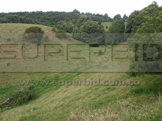 Foto 4 de TERRENO RURAL PARCELA 12 CONDOMINIO BARRO BLANCO DE 30016,41 M2 UBIC.: SANTA LIBRADA-BOJACÁ - BARROBLANCO