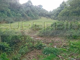 Foto 2 de TERRENO RURAL PARCELA 19 CONDOMINIO BARRO BLANCO DE 30000  UBIC.: SANTA LIBRADA-BOJACÁ - BARROBLANCO
