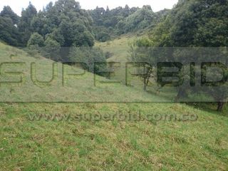 Foto 4 de TERRENO RURAL PARCELA 19 CONDOMINIO BARRO BLANCO DE 30000  UBIC.: SANTA LIBRADA-BOJACÁ - BARROBLANCO